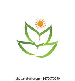 Logos of green Tree leaf ecology nature element vector
