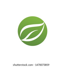 Logos of green Tree leaf ecology nature element vector