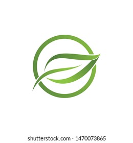 Logos of green Tree leaf ecology nature element vector