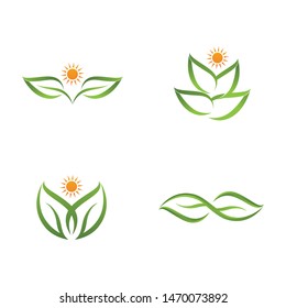 Logos of green Tree leaf ecology nature element vector