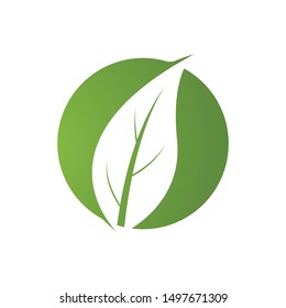 logos of green tree leaf ecology nature element vector
