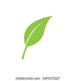 logos of green tree leaf ecology nature element vector