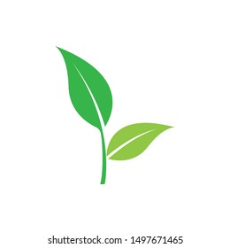 logos of green tree leaf ecology nature element vector