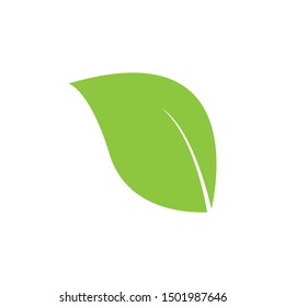 logos of green tree leaf ecology nature element vector
