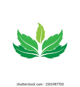 logos of green tree leaf ecology nature element vector