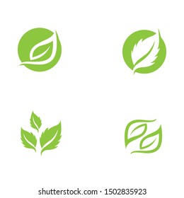 Logos of green Tree leaf ecology nature element vector