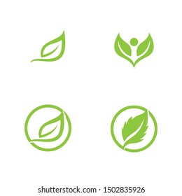 Logos of green Tree leaf ecology nature element vector