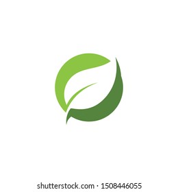 Logos of green Tree leaf ecology nature element vector