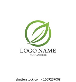 Logos of green Tree leaf ecology nature element vector