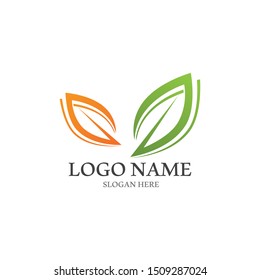 Logos of green Tree leaf ecology nature element vector