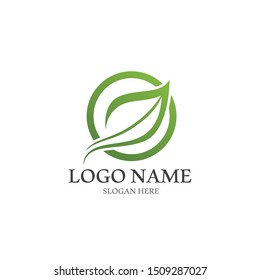 Logos of green Tree leaf ecology nature element vector