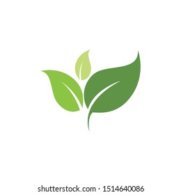 Logos of green Tree leaf ecology nature element vector