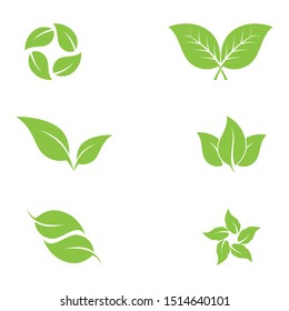 Logos of green Tree leaf ecology nature element vector