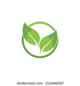 Logos of green Tree leaf ecology nature element vector