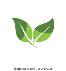 Logos of green Tree leaf ecology nature element vector