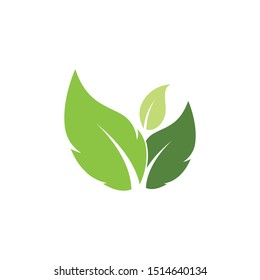 Logos of green Tree leaf ecology nature element vector