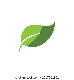 Logos of green Tree leaf ecology nature element vector