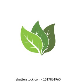 Logos of green Tree leaf ecology nature element vector