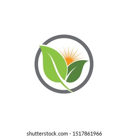 Logos of green Tree leaf ecology nature element vector