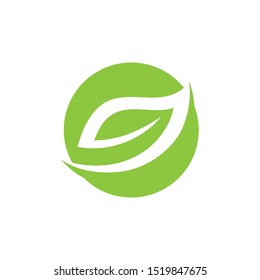 Logos of green Tree leaf ecology nature element vector
