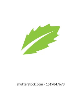 Logos of green Tree leaf ecology nature element vector