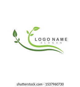 Logos of green Tree leaf ecology nature element vector