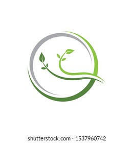 Logos of green Tree leaf ecology nature element vector