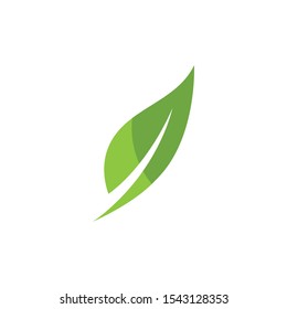 Logos of green Tree leaf ecology nature element vector