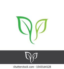 Logos of green Tree leaf ecology nature element vector