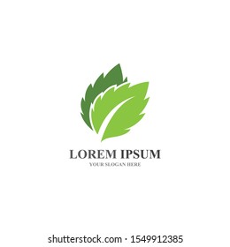 Logos of green Tree leaf ecology nature element vector