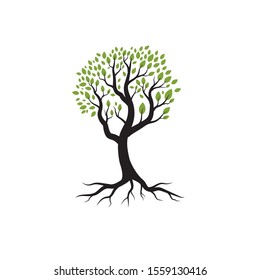 Logos of green Tree leaf ecology nature element vector
