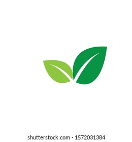 Logos of green Tree leaf ecology nature element vector