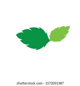 Logos of green Tree leaf ecology nature element vector