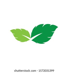 Logos of green Tree leaf ecology nature element vector