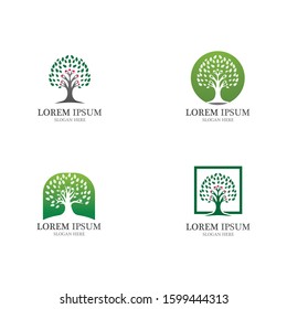 Logos of green Tree leaf ecology nature element vector