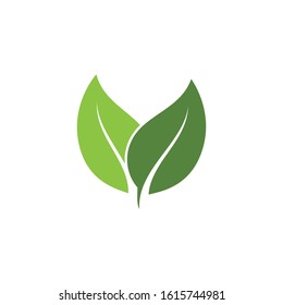 Logos of green Tree leaf ecology nature element vector