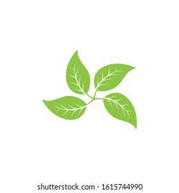 Logos of green Tree leaf ecology nature element vector