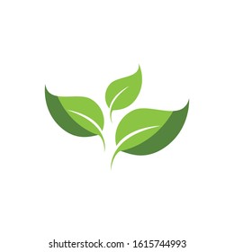Green Plant Images, Stock Photos & Vectors | Shutterstock