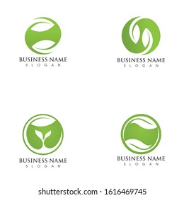 Logos of green Tree leaf ecology nature element vector