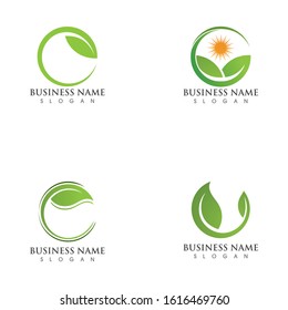 Logos of green Tree leaf ecology nature element vector