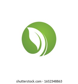 Logos of green Tree leaf ecology nature element vector