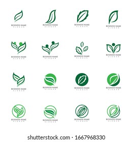 Logos of green Tree leaf ecology nature element vector