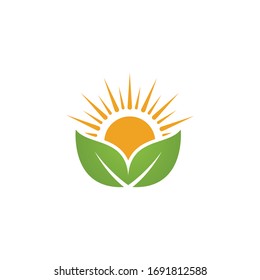 Logos of green Tree leaf ecology nature element vector