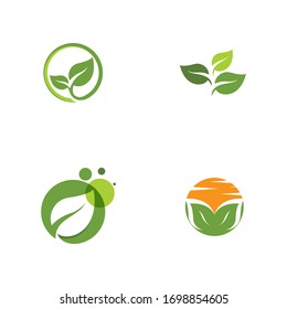 Logos of green Tree leaf ecology nature element vector