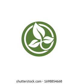 Logos of green Tree leaf ecology nature element vector