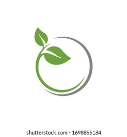 Logos of green Tree leaf ecology nature element vector