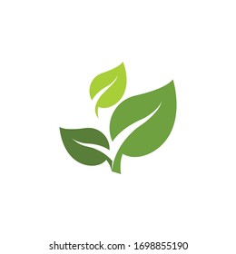 Logotipos de ecología de hoja verde elemento natural vectorial