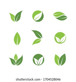 Logos of green Tree leaf ecology nature element vector