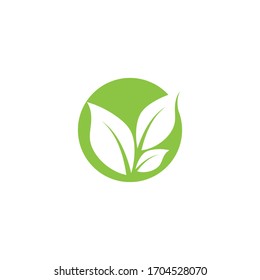 Logos of green Tree leaf ecology nature element vector