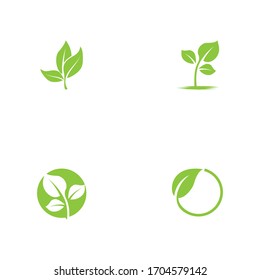 Logotipos de ecología de hoja verde elemento natural vectorial
